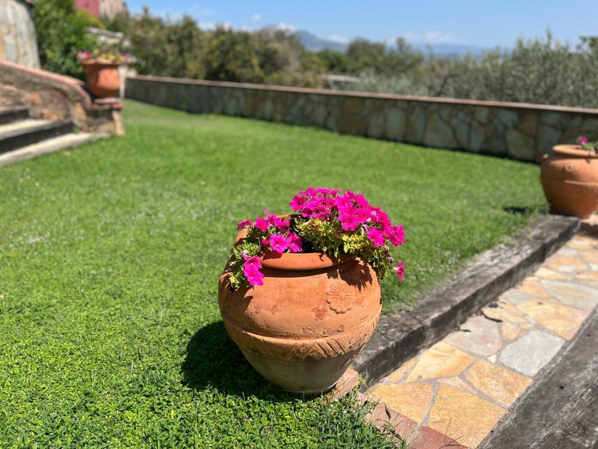 Masia Can Viver - Olive Oil Tourism B&B Bigues I Riells Esterno foto