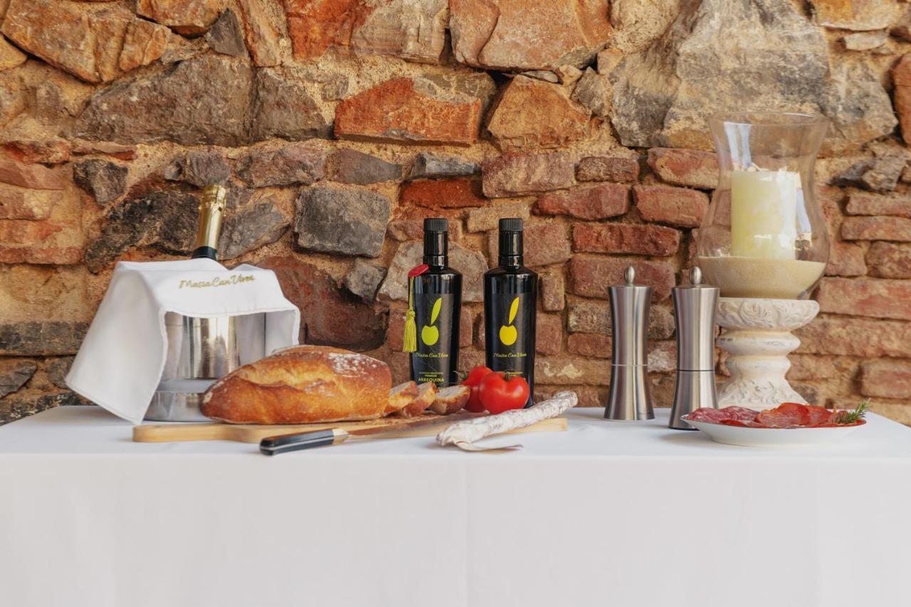 Masia Can Viver - Olive Oil Tourism B&B Bigues I Riells Esterno foto