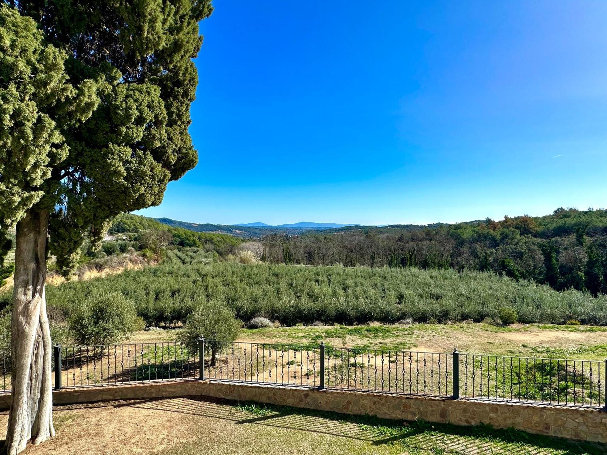 Masia Can Viver - Olive Oil Tourism B&B Bigues I Riells Esterno foto