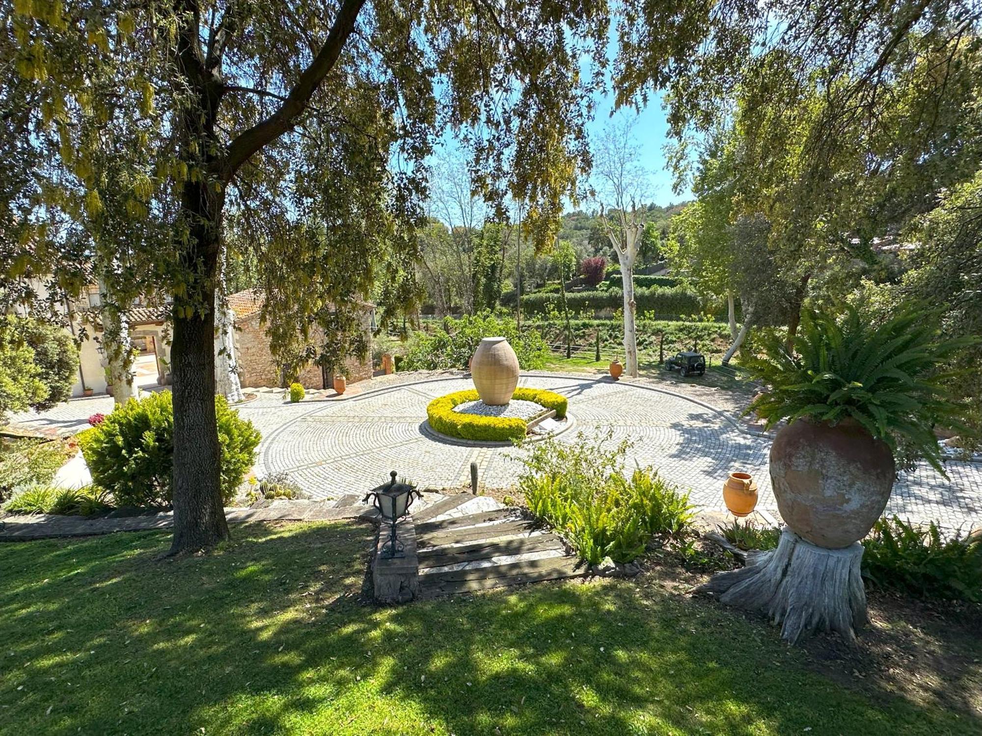 Masia Can Viver - Olive Oil Tourism B&B Bigues I Riells Esterno foto