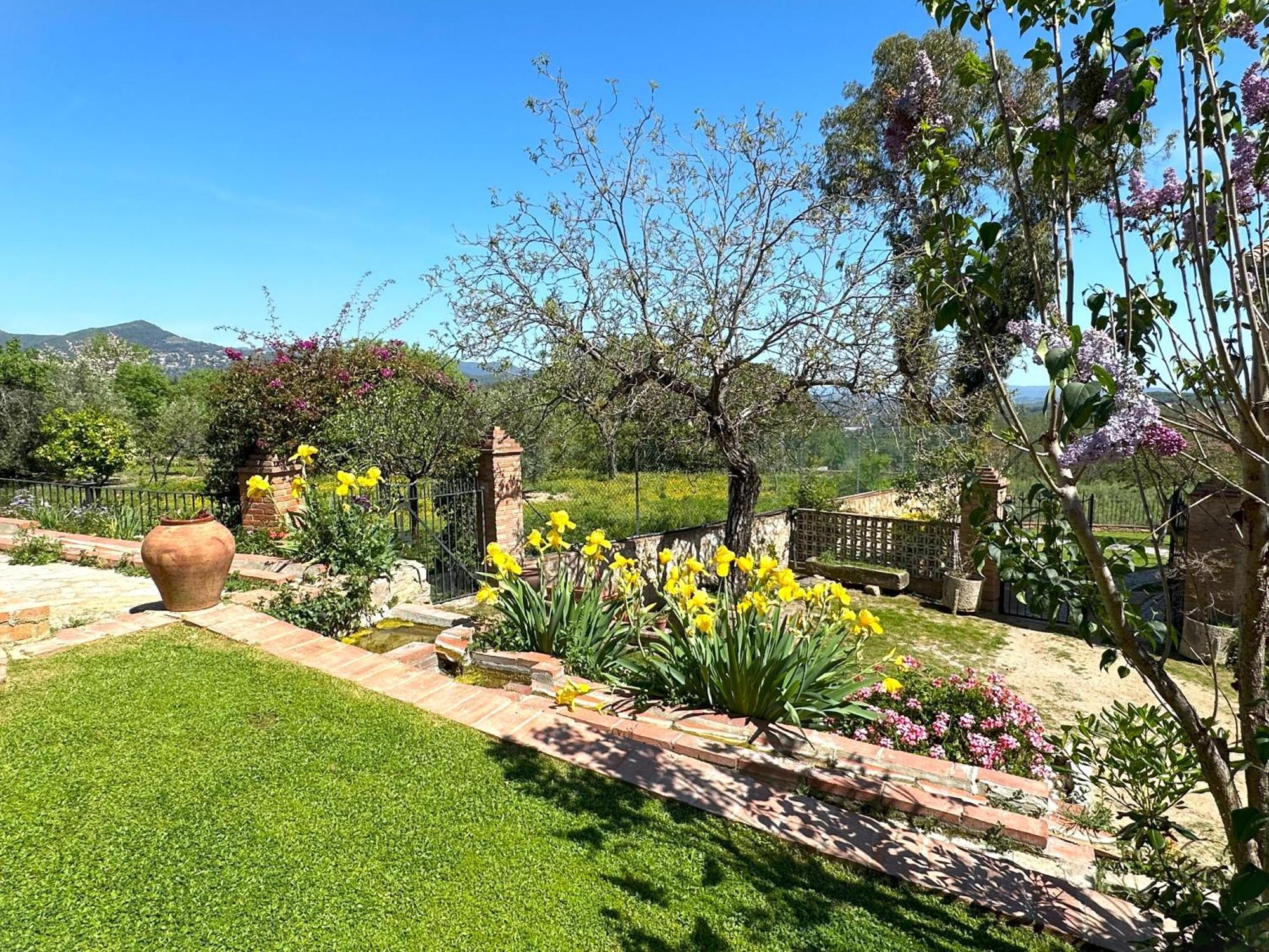 Masia Can Viver - Olive Oil Tourism B&B Bigues I Riells Esterno foto