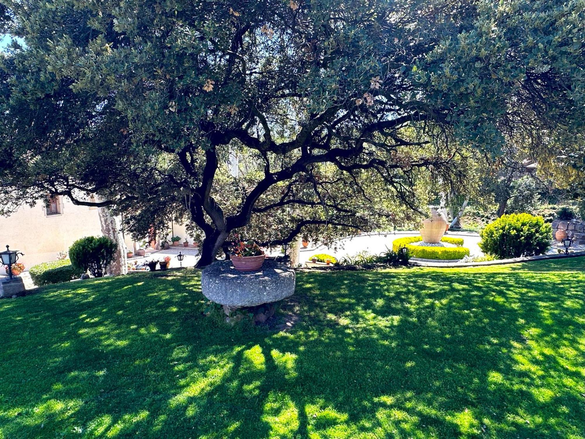 Masia Can Viver - Olive Oil Tourism B&B Bigues I Riells Esterno foto